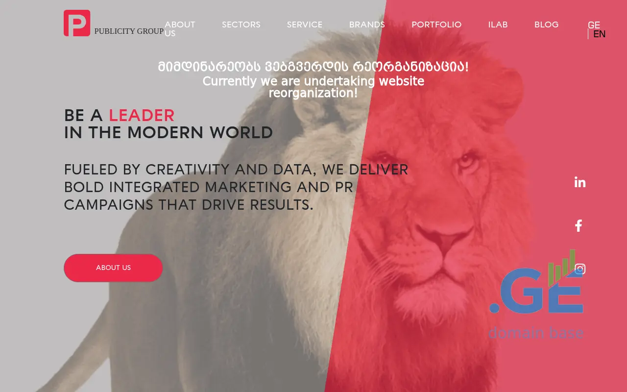 Screenshot of the site publicitygroup.ge