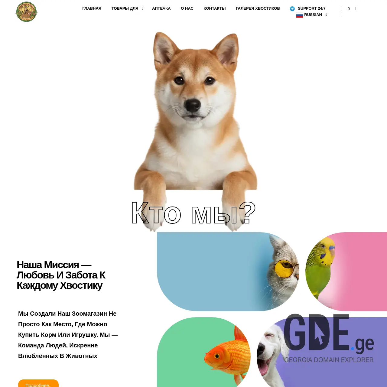 Screenshot of the site pumbastore.ge at 2025-12-11