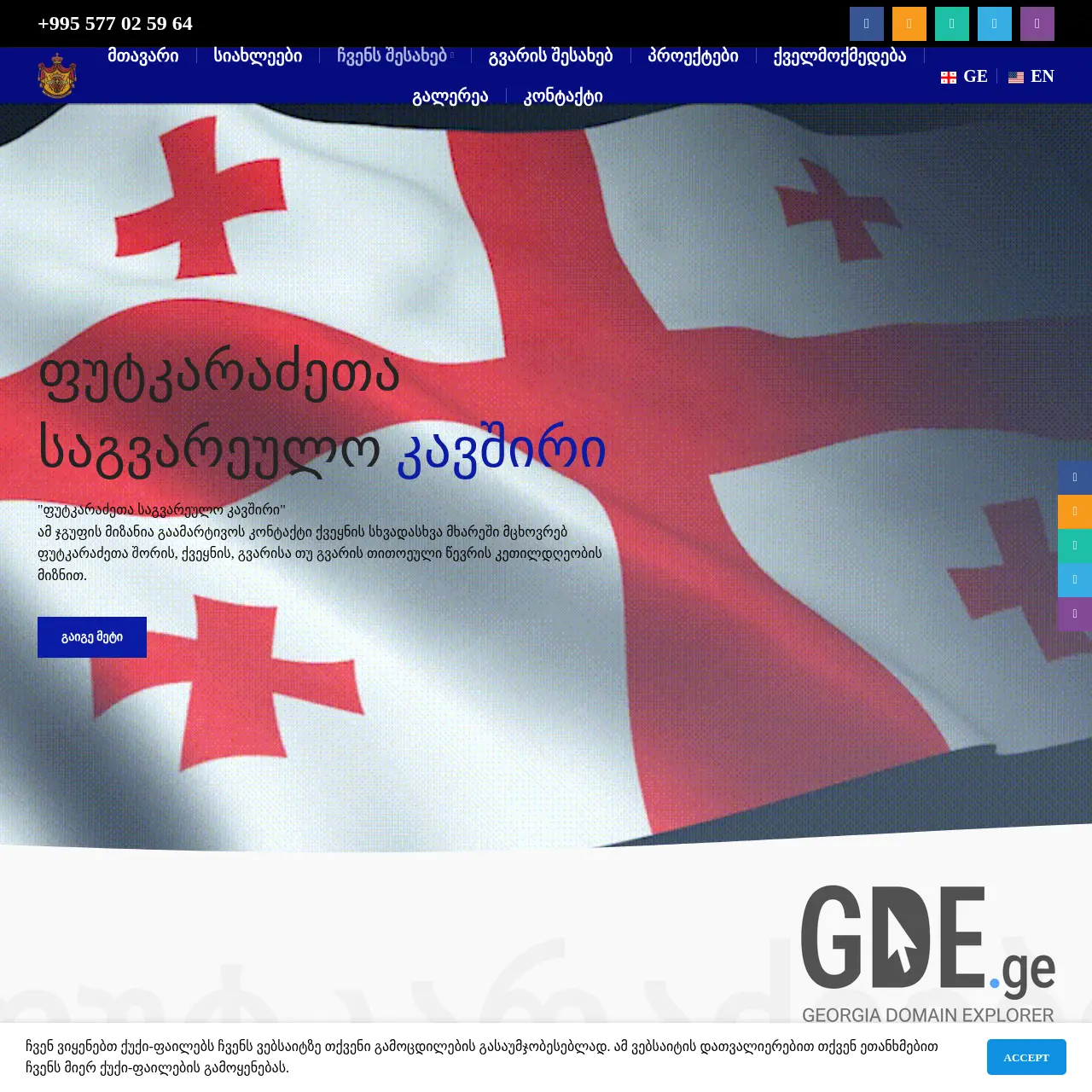 Screenshot of the site putkaradzeebi.ge at 2025-12-11