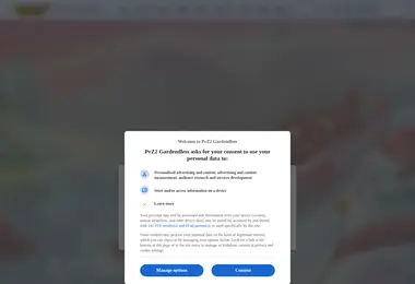 Preview from 11.12.2025