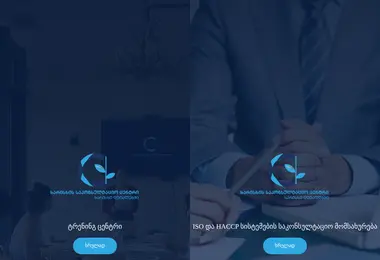 Screenshot of qcc.ge