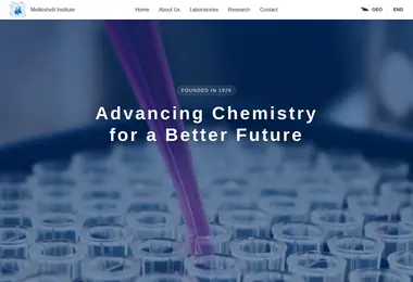 Screenshot of radiatori.ge