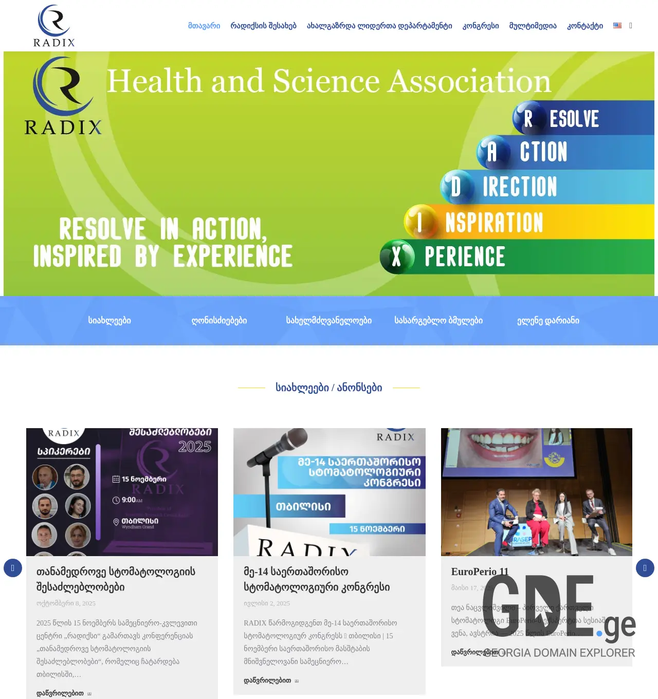 Screenshot of the site radix.ge at 2025-12-01