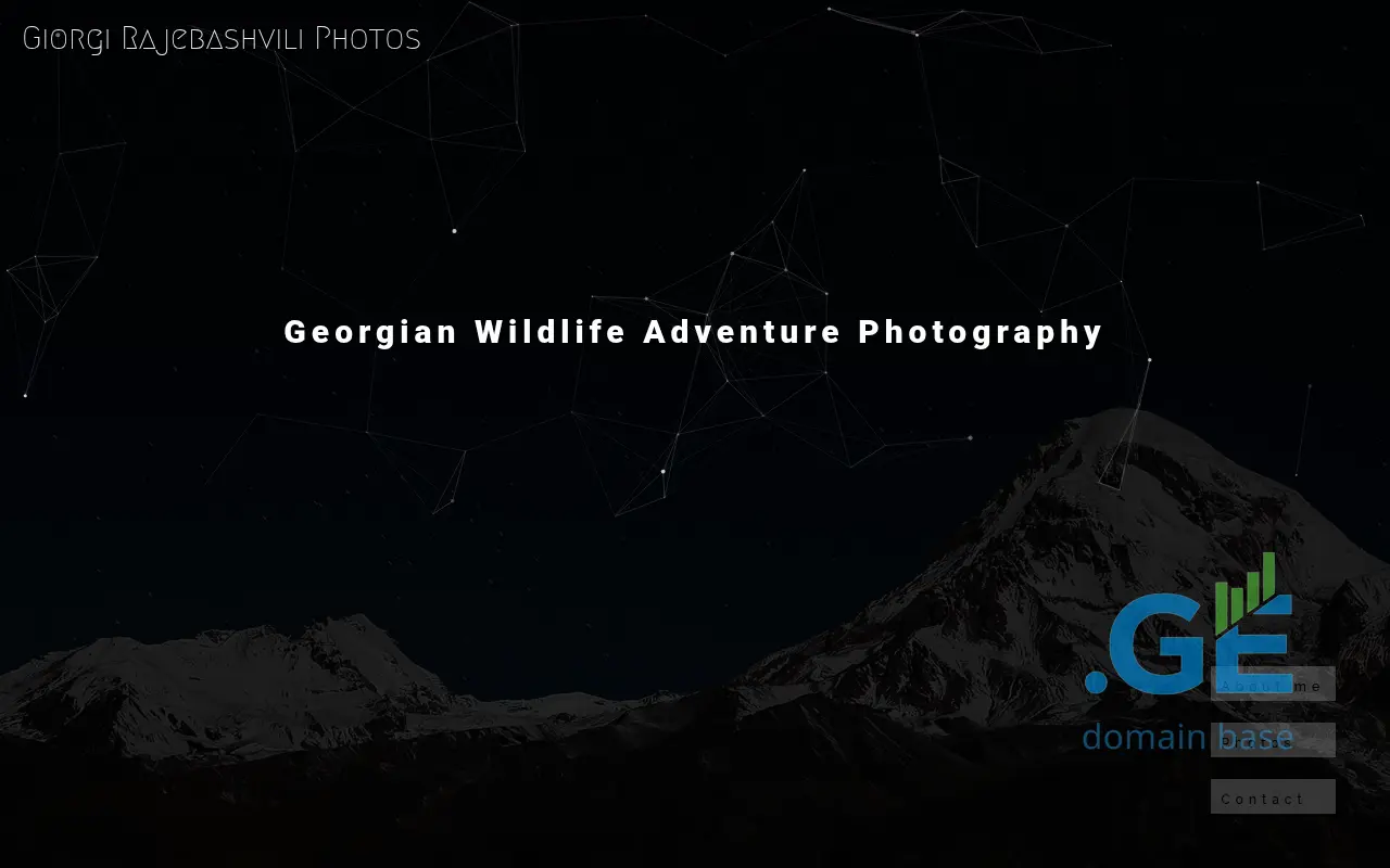 Screenshot of the site rajebashvili.ge