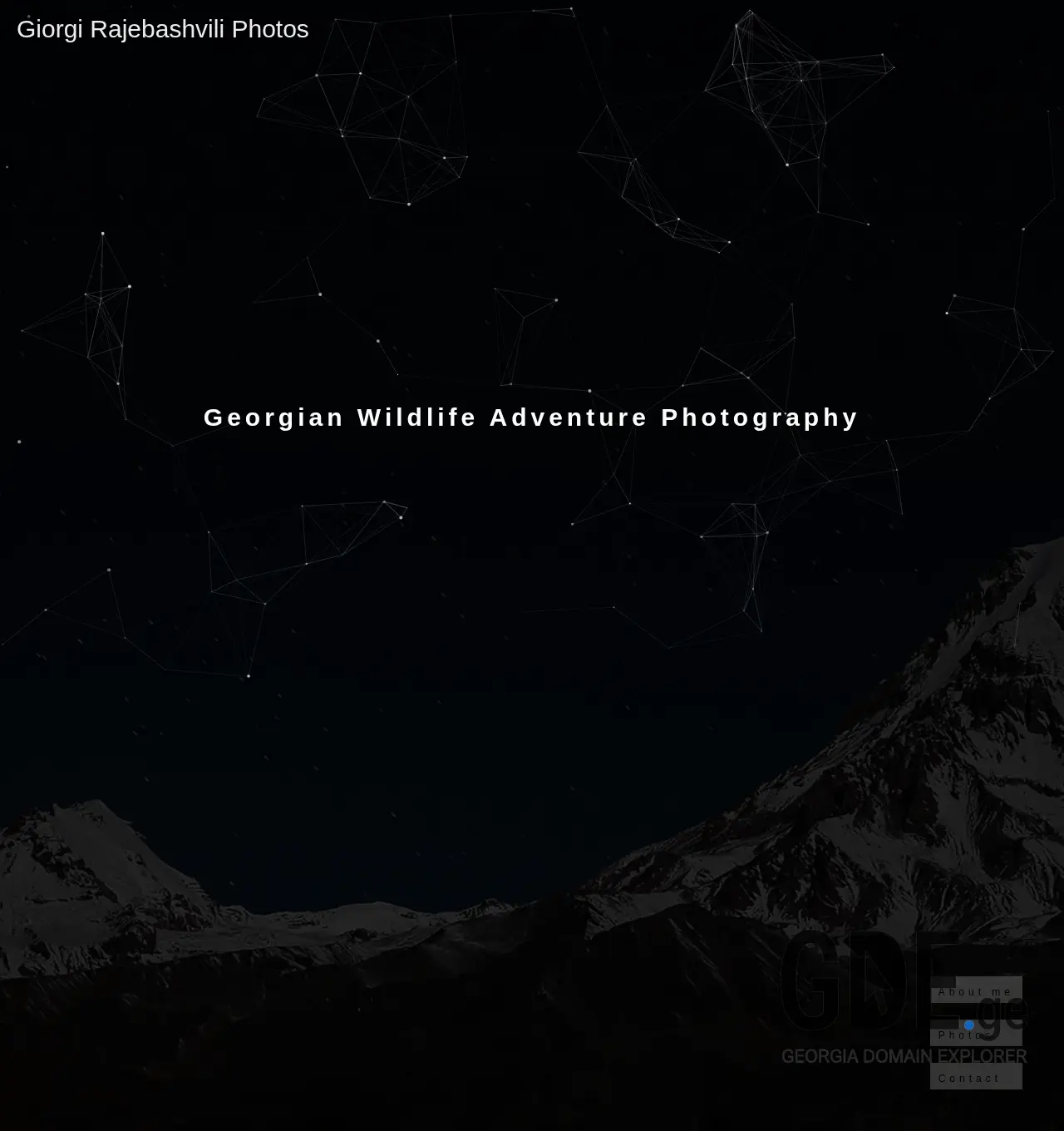 Screenshot of the site rajebashvili.ge at 2025-12-03