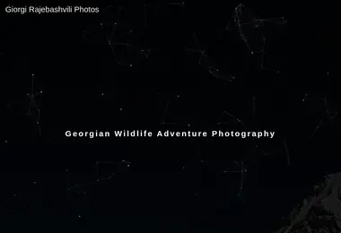 Screenshot of rajebashvili.ge