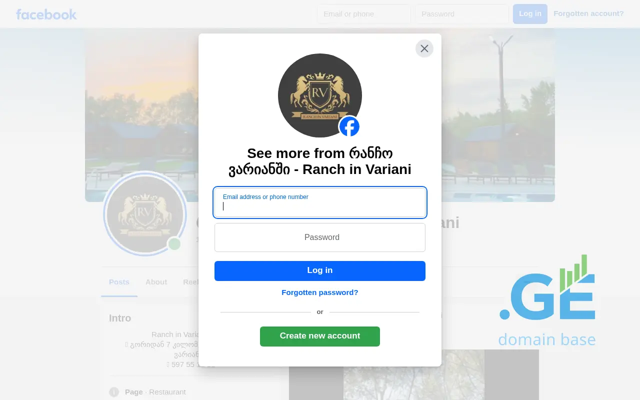 Screenshot of the site ranchinvariani.ge