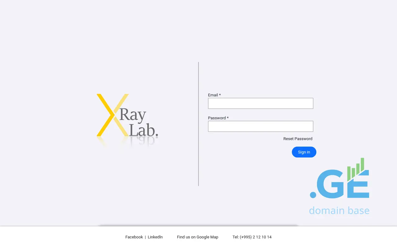 Screenshot of the site raylab.ge