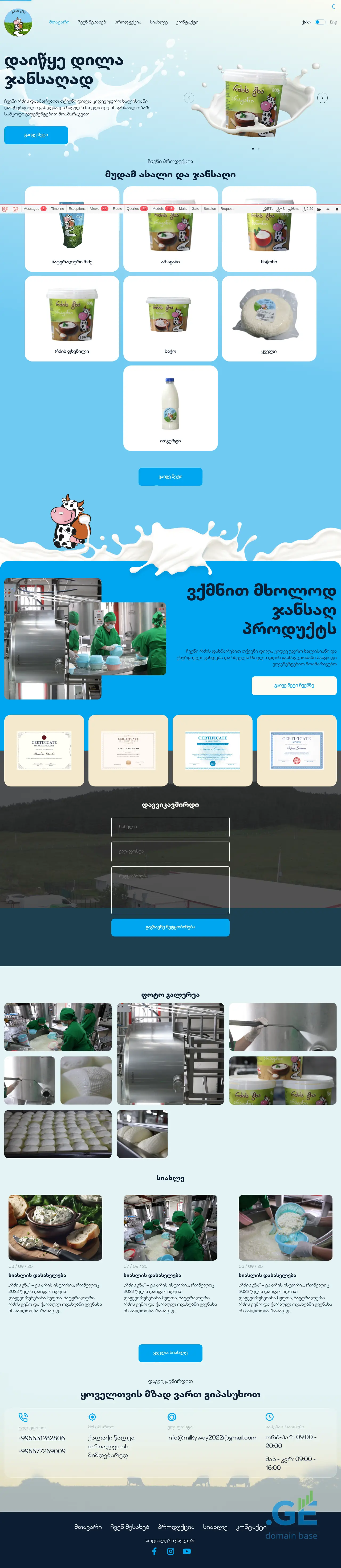 Screenshot of the site rdzisgza.ge