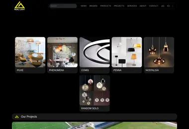 Скриншот reallight.ge