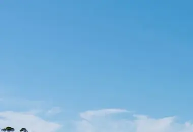 სურათი 27.02.2026-დან