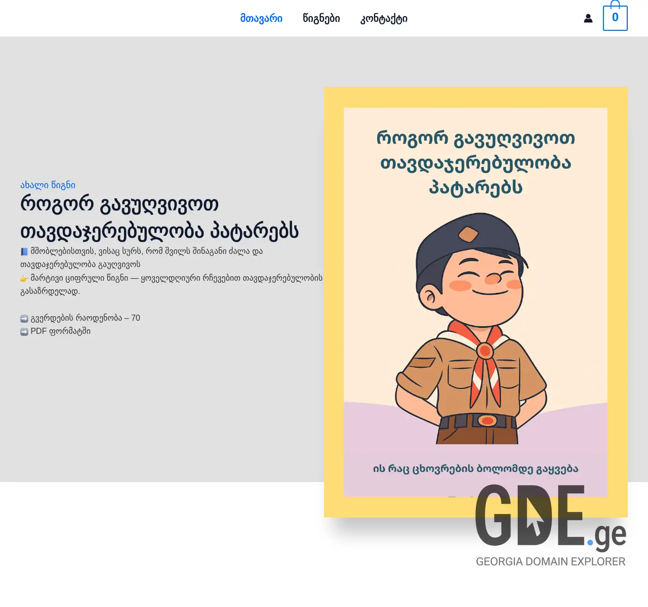 Screenshot of the site rebusi.ge at 2025-11-25