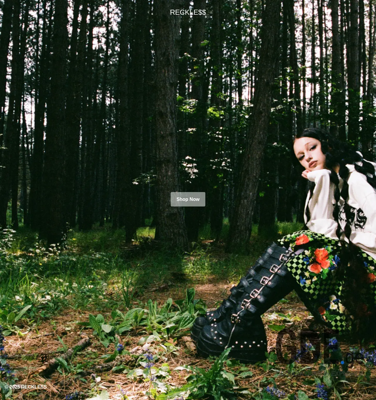 Screenshot of the site reckless.ge at 2025-12-03