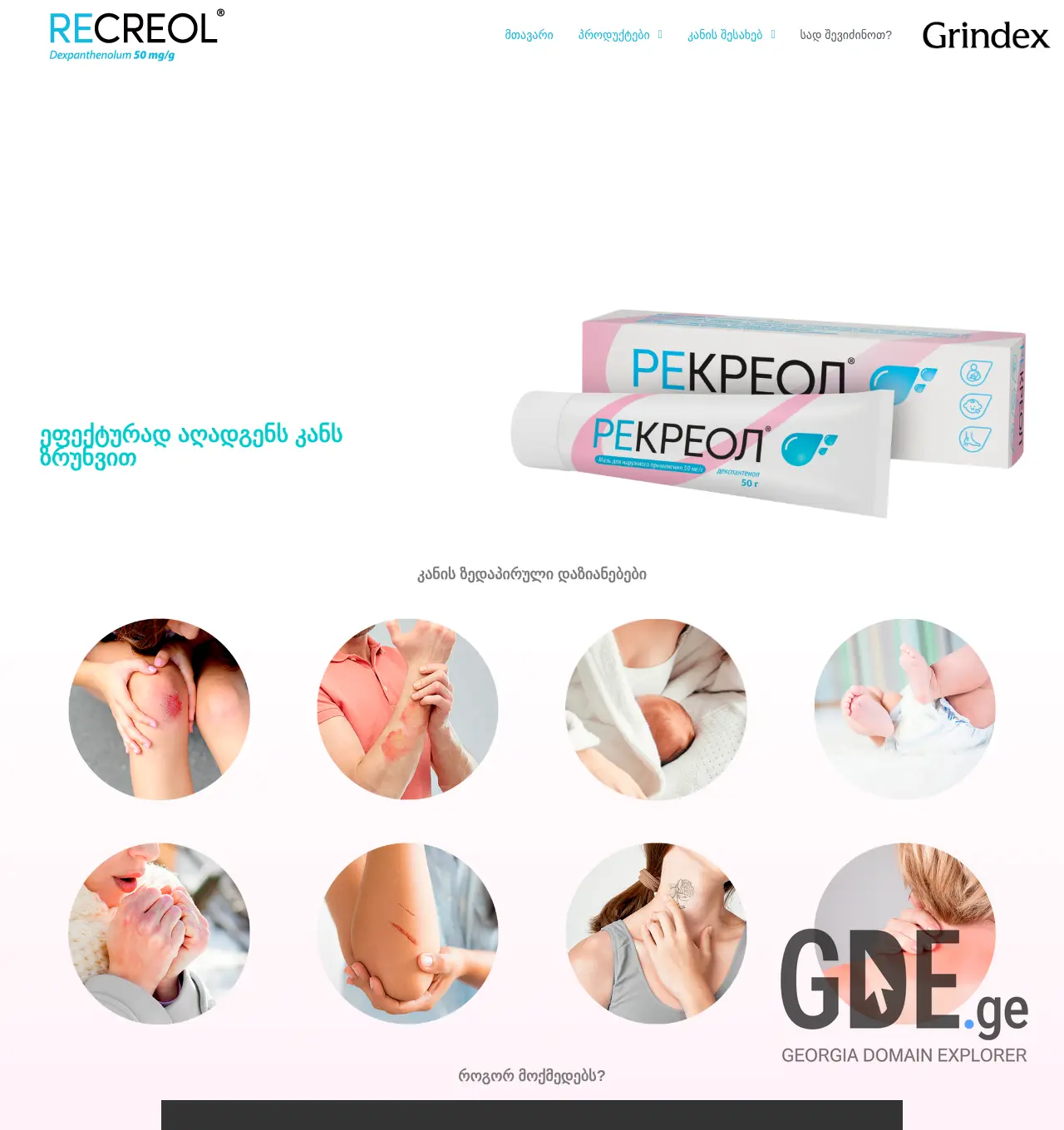 Screenshot of the site recreol.ge at 2025-12-03