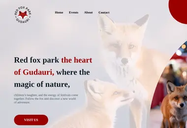 Preview from 11.12.2025