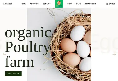 Screenshot of refarm.ge