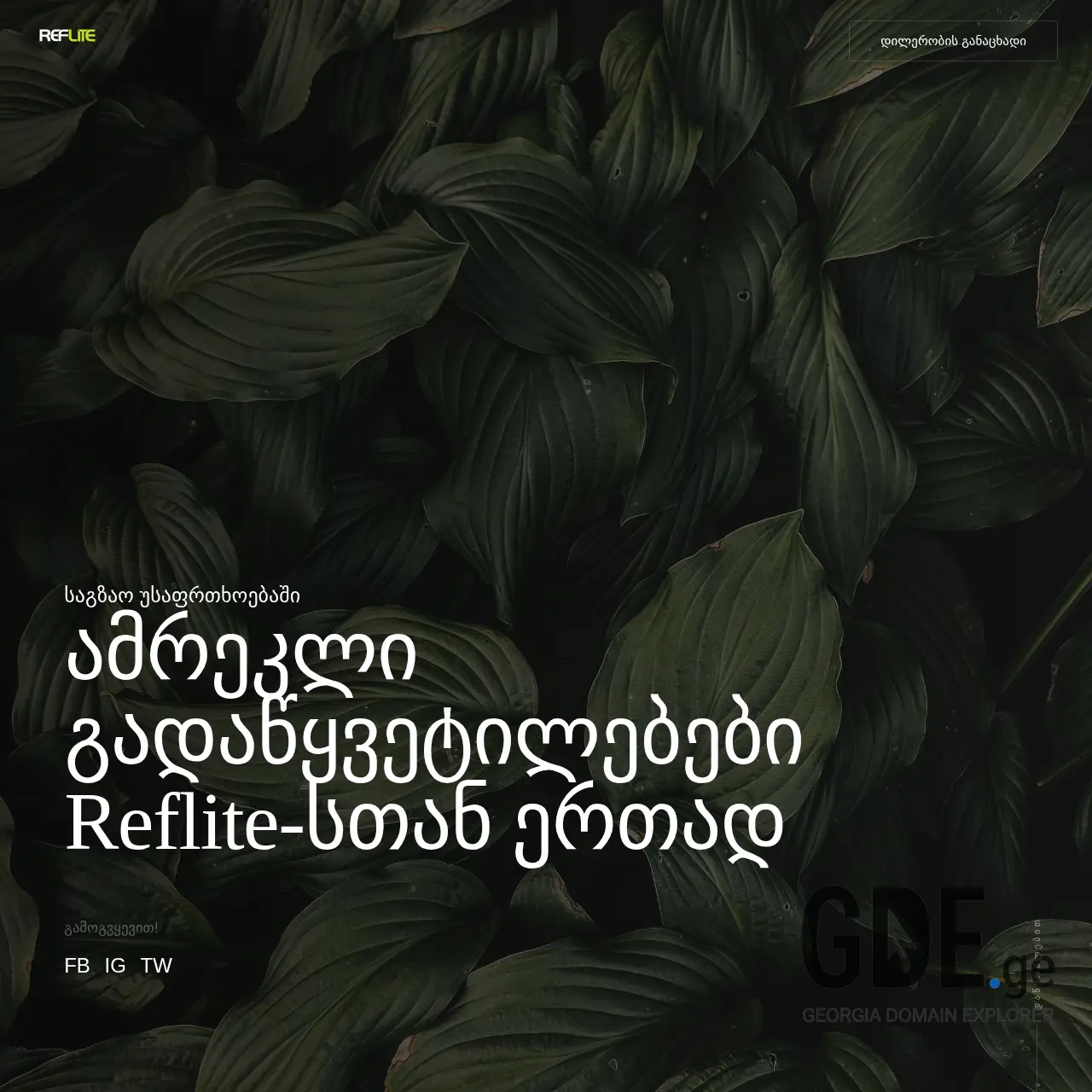 Screenshot of the site reflite.ge at 2026-02-01