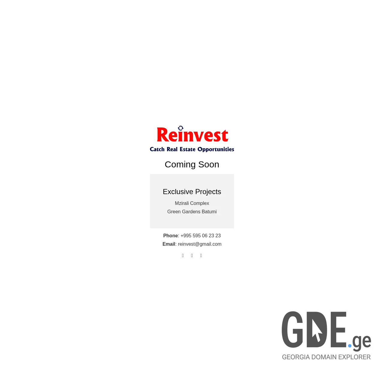 Screenshot of the site reinvest.ge at 2025-12-11