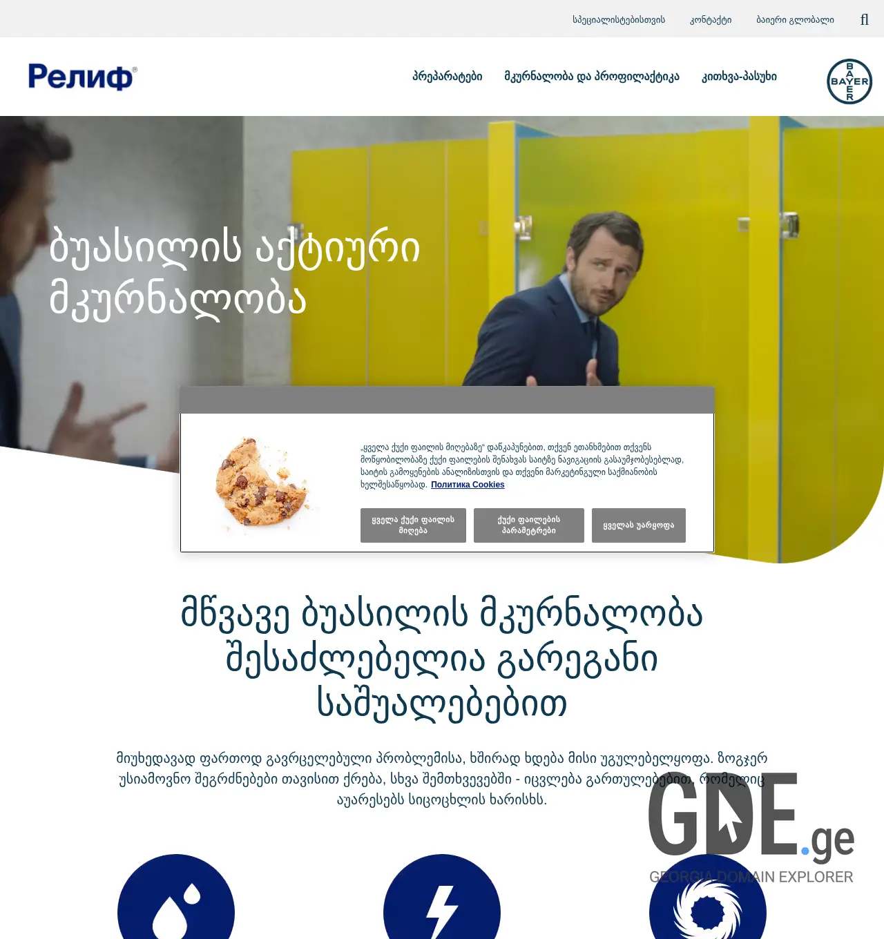 Screenshot of the site relief.ge at 2025-12-03