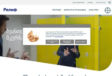 Screenshot of relief.ge