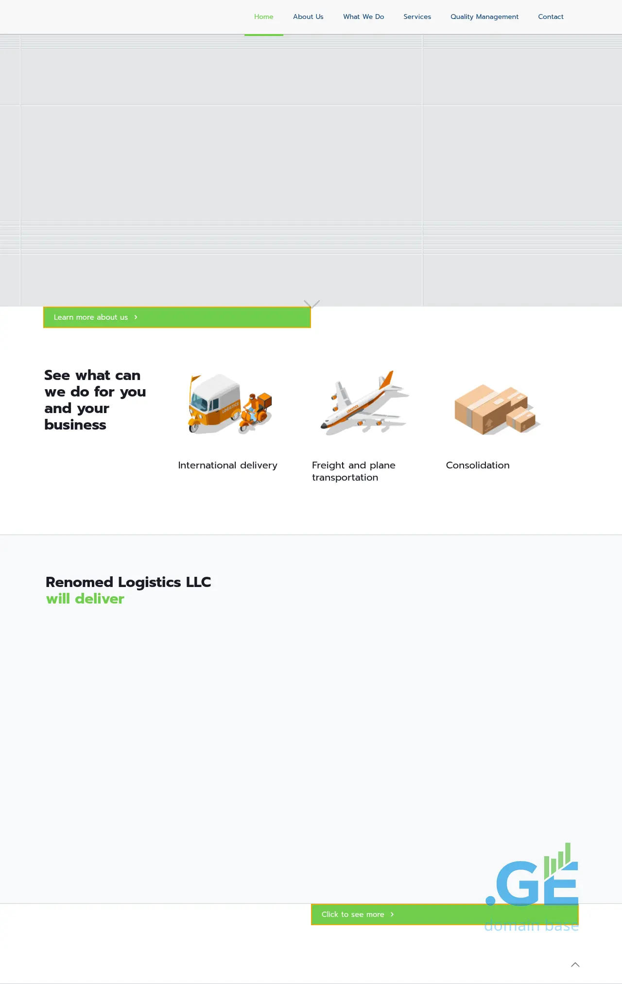 Screenshot of the site renomedlogistics.ge