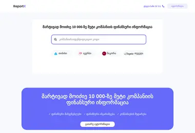 Screenshot of reportx.ge