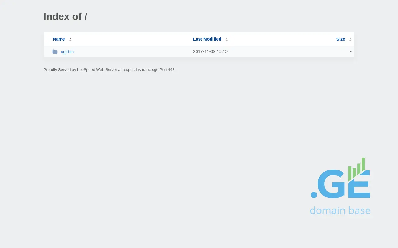Screenshot of the site respectinsurance.ge