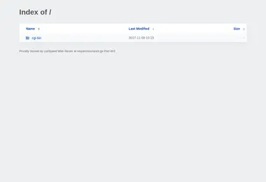 Screenshot of respectinsurance.ge