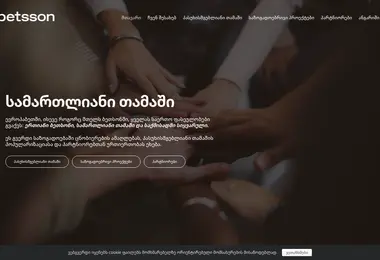 responsible.ge-ის ეკრანის სურათი