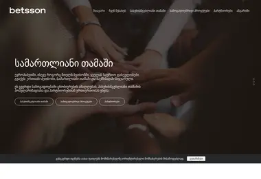 Screenshot of responsible.ge