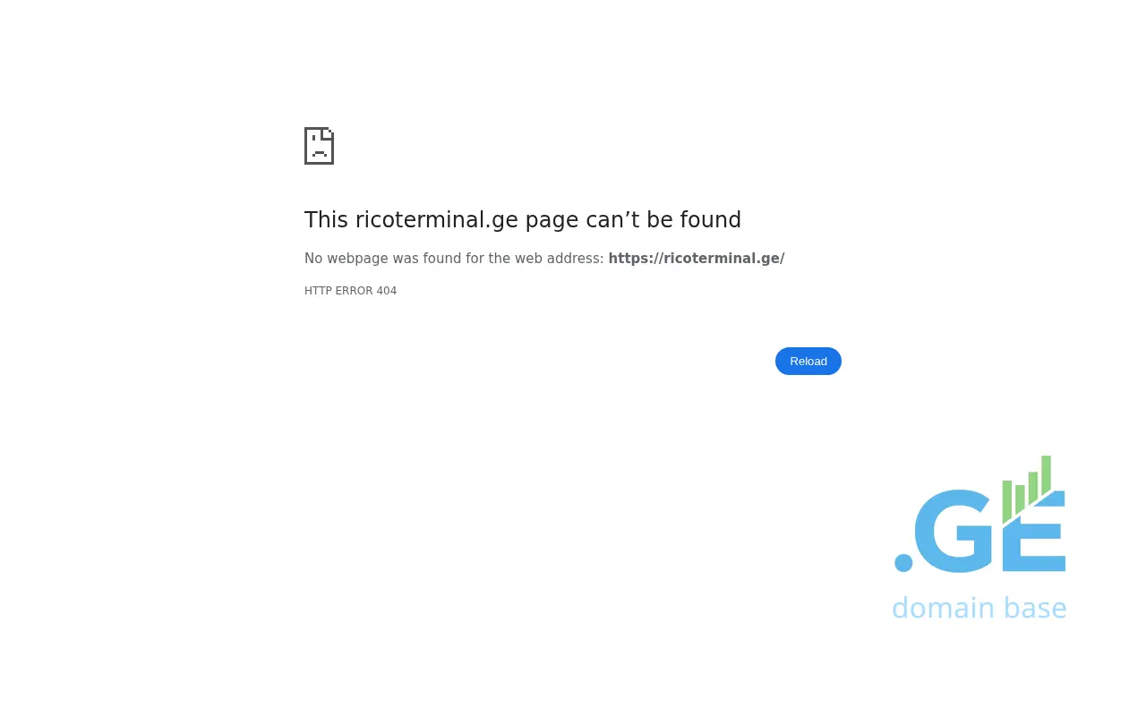 Screenshot of the site ricoterminal.ge