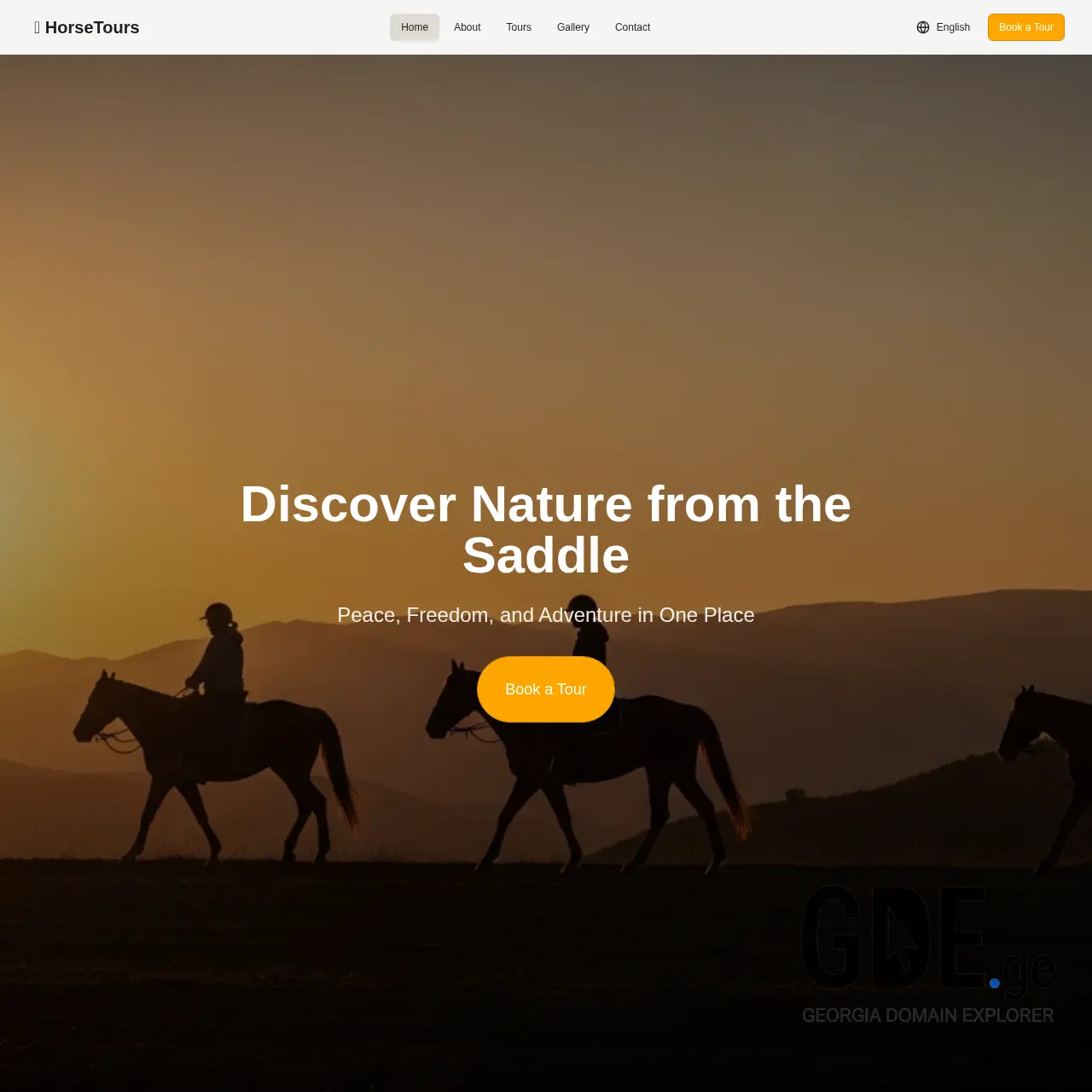 Screenshot of the site riding.ge at 2025-12-11