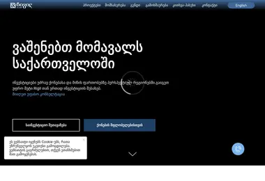 Screenshot of rigil.ge