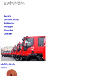 Скриншот rigiservice.ge