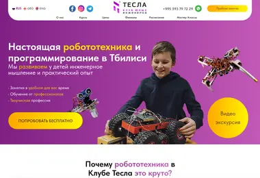 Screenshot of robotesla.ge