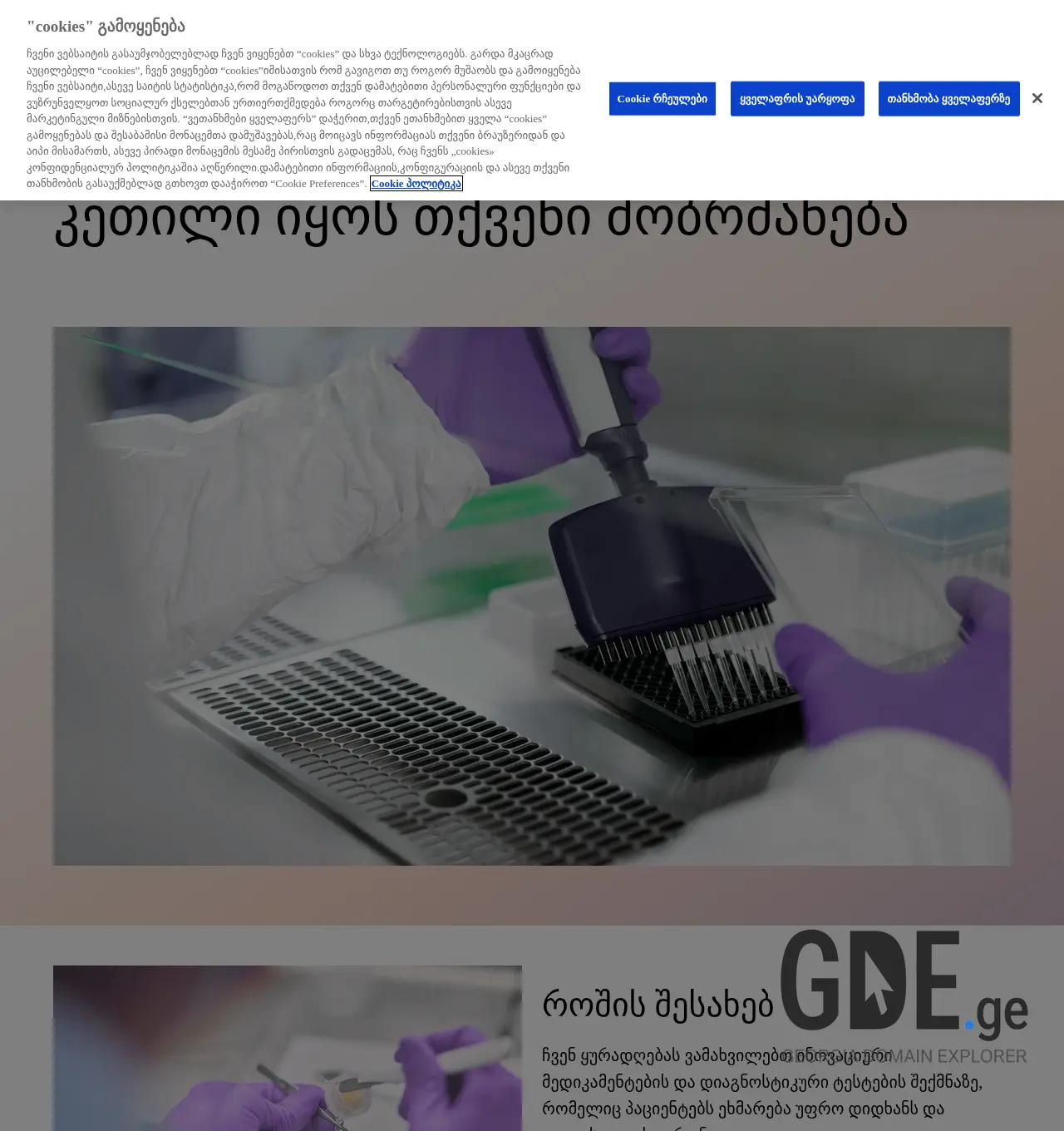 Screenshot of the site roche.ge at 2025-11-29