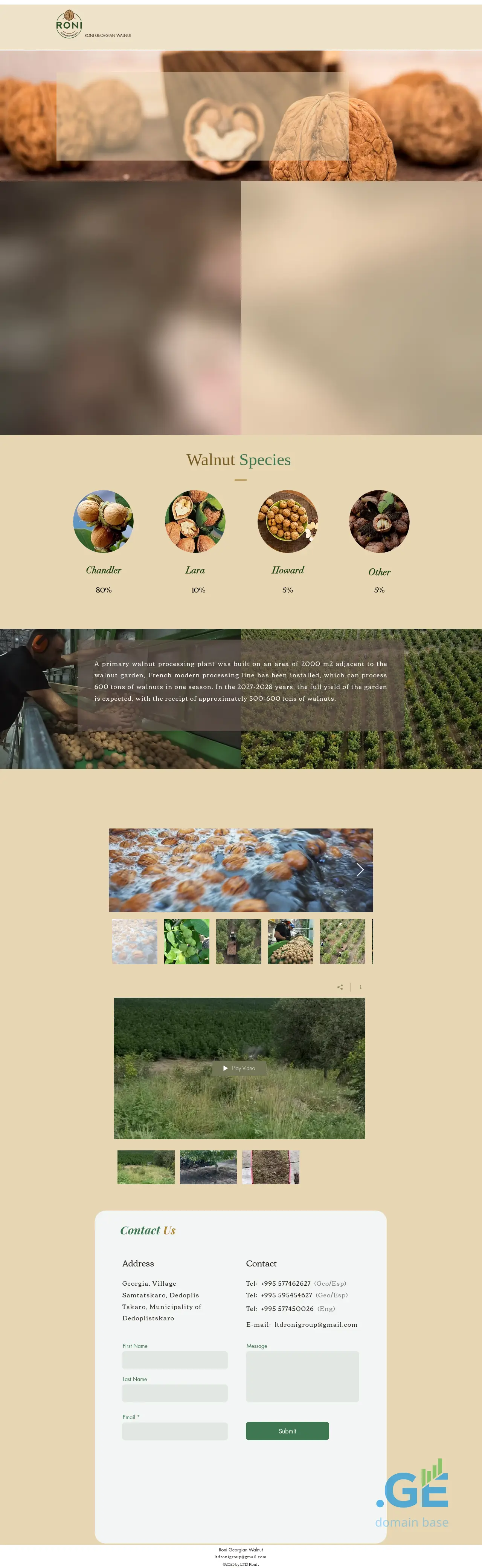 Screenshot of the site roniwalnut.ge
