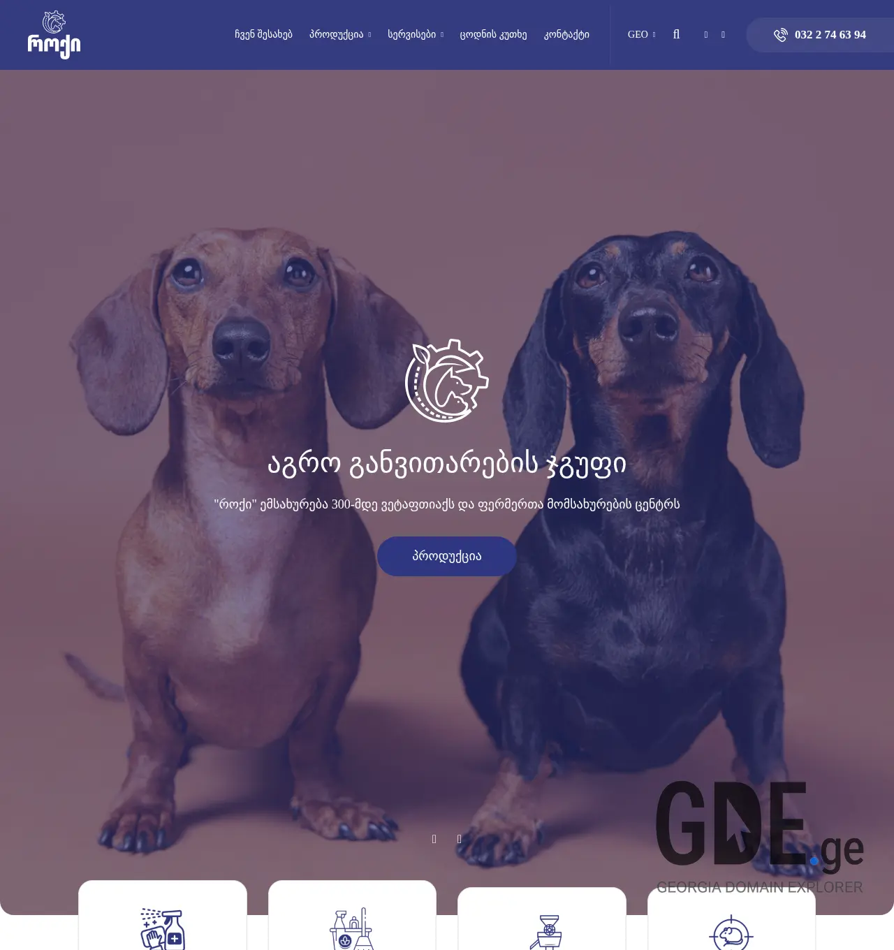 Screenshot of the site roqi.ge at 2025-12-03