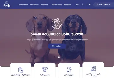 roqi.ge-ის ეკრანის სურათი