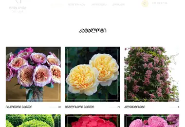 Screenshot of rosehall.ge