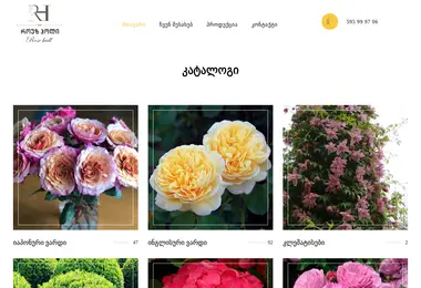 Preview from 03.12.2025