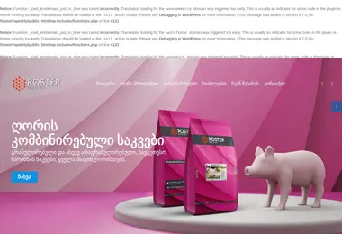 Screenshot of roster.ge