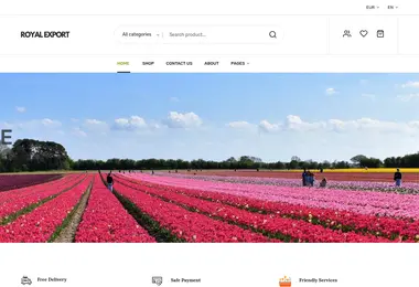 Screenshot of royalexport.ge