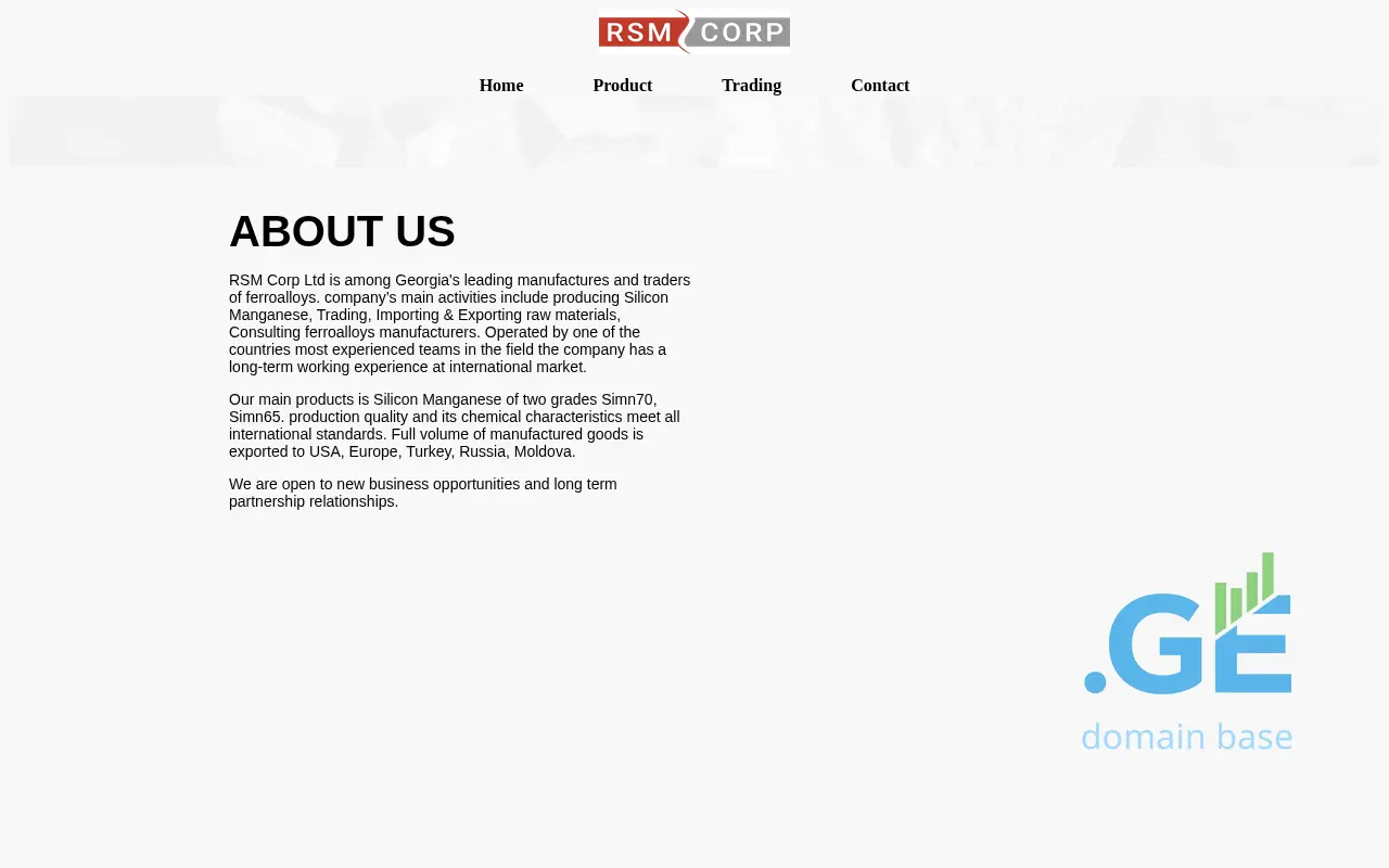 Screenshot of the site rsmcorp.ge