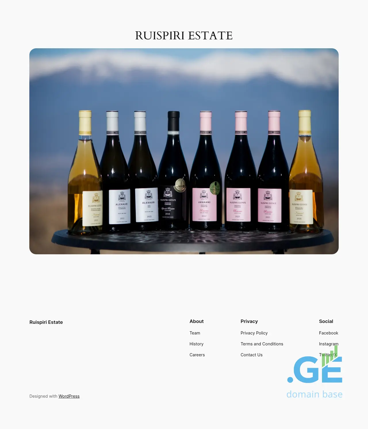 Screenshot of the site ruispiri.ge