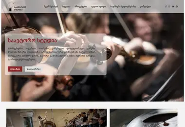 Screenshot of saavtorostudia.ge