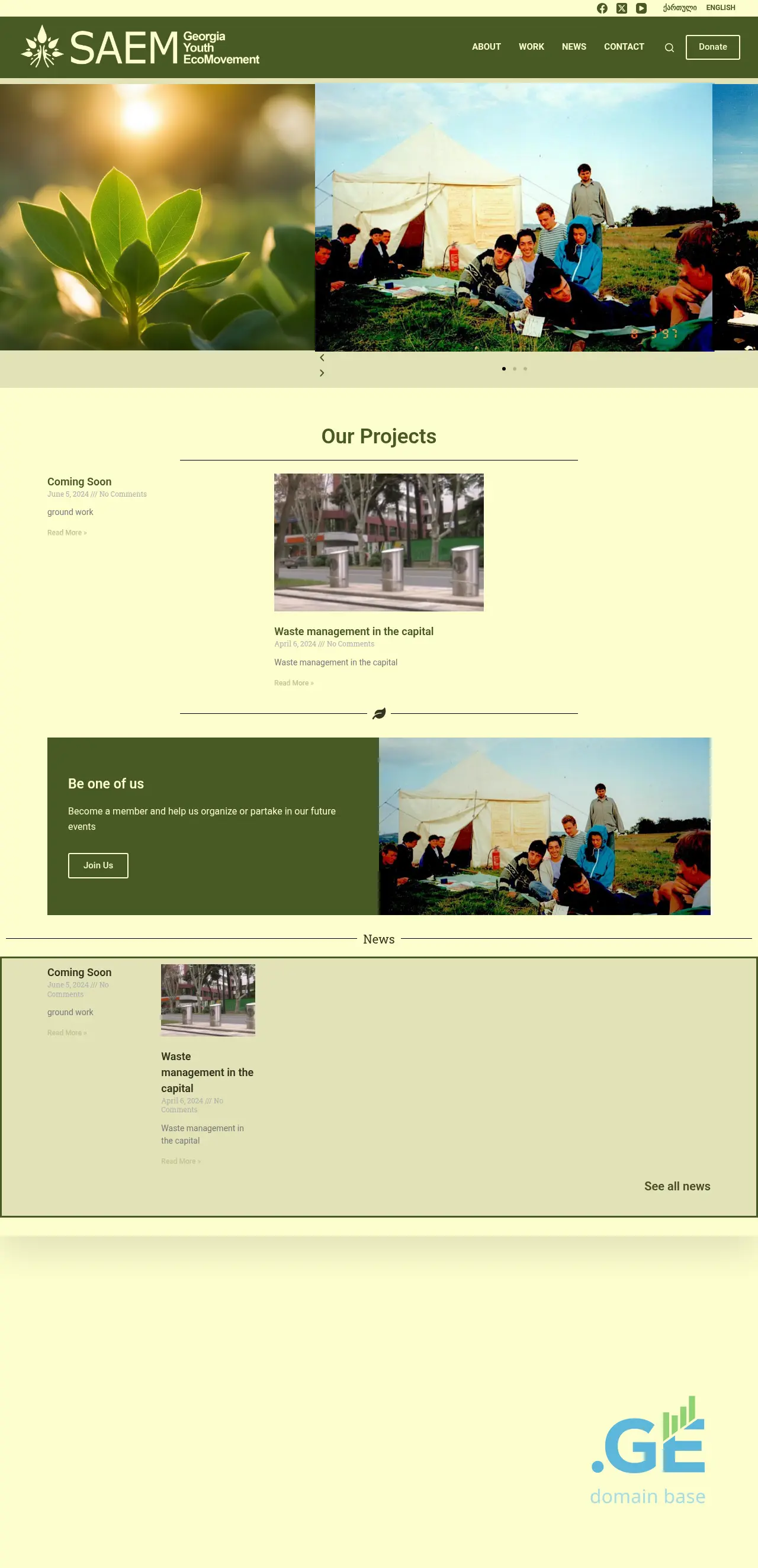 Screenshot of the site saem.ge