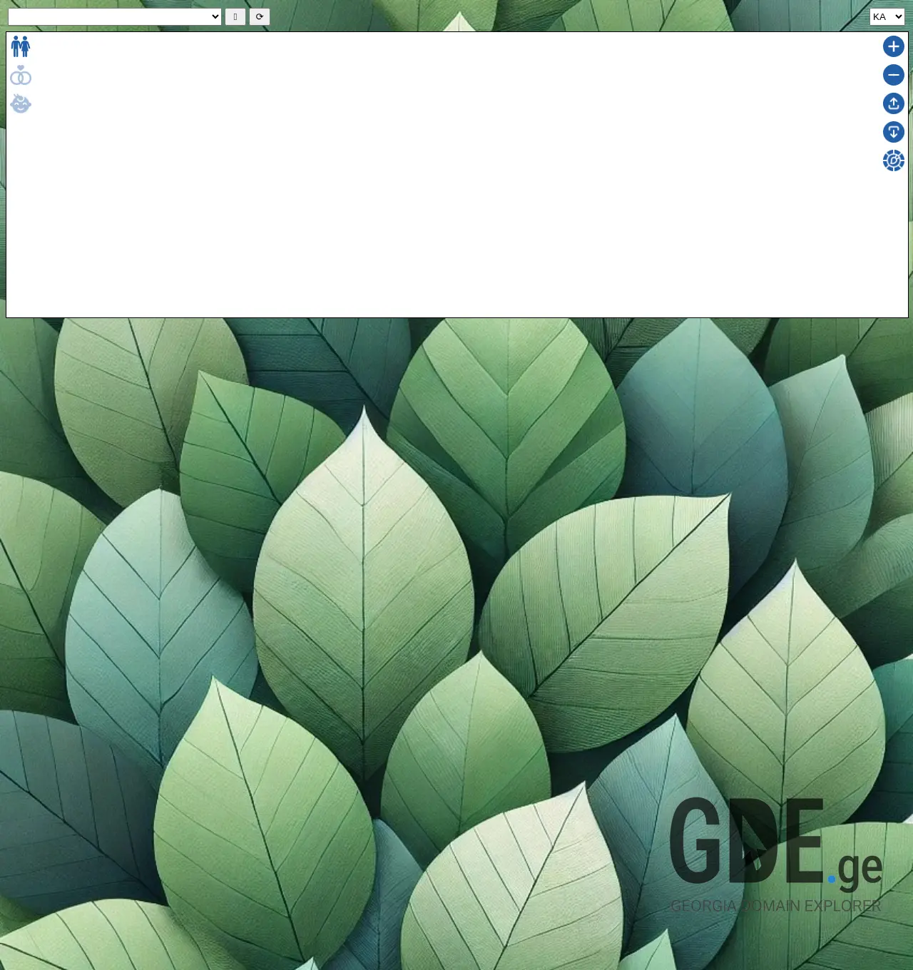 Screenshot of the site sagvareulo.ge at 2025-12-03