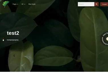 Screenshot of sairmerecreation.ge