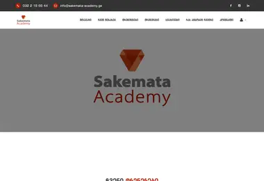 Screenshot of sakemata-academy.ge